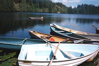 boats and lake
